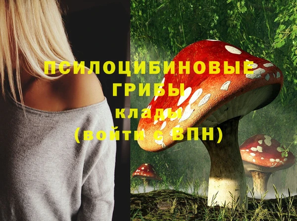 метадон Арсеньев