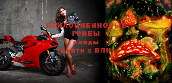 шишки Баксан