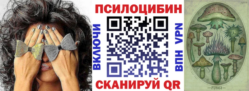 закладка  Барыш  мега зеркало  Галлюциногенные грибы Cubensis 